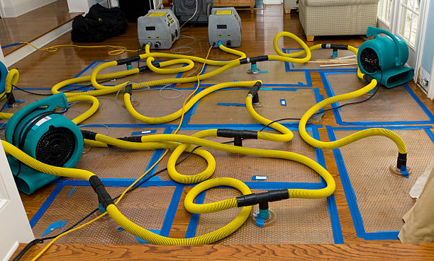 Professional Flood Damage Restoration technician working in Mount Olive, AL