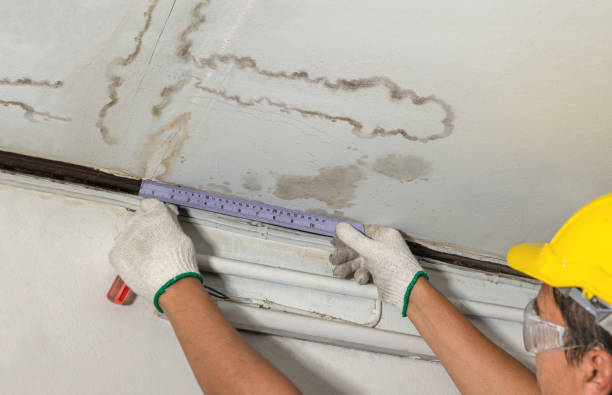 Affordable Water Damage Repair solutions in Mount Olive, AL
